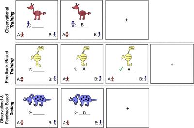 Strategy Development and Feedback Processing During Complex Category Learning